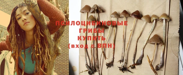 спайс Абаза