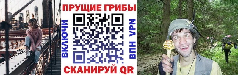 ОМГ ОМГ как зайти  Беломорск  Псилоцибиновые грибы Psilocybine cubensis 